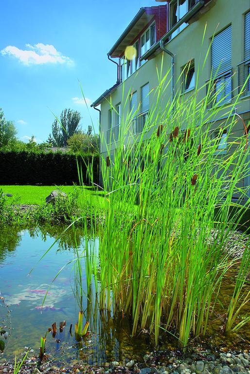 Landhotel Altes Wasserwerk Gbr Freinsheim Exterior foto